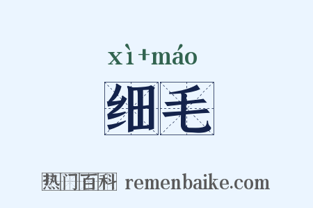 细毛是什么意思的图片